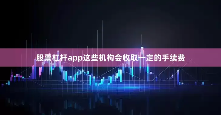 股票杠杆app这些机构会收取一定的手续费