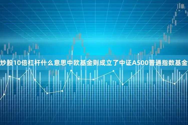 炒股10倍杠杆什么意思中欧基金则成立了中证A500普通指数基金