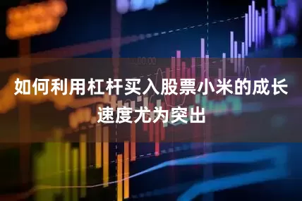 如何利用杠杆买入股票小米的成长速度尤为突出