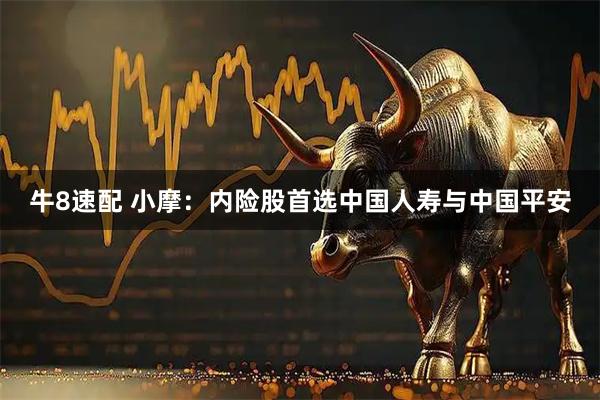 牛8速配 小摩：内险股首选中国人寿与中国平安